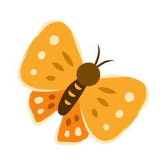 Yellow butterfly