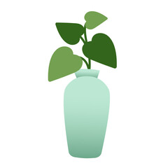 Pothos in vase