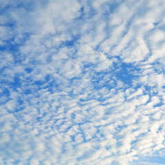 White heap clouds in the blue sky, Cloud Background, Wallpaper  Sky in Morning