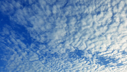 White heap clouds in the blue sky, Cloud Background, Wallpaper  Sky in Morning