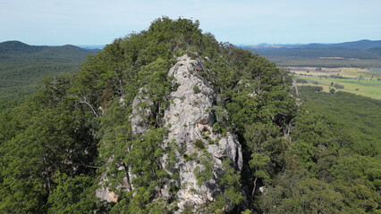 Mount Alum bush walk at Bulahdelah