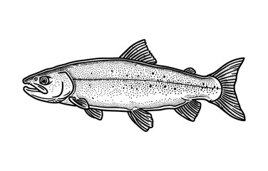 salmon engraving black and white outline