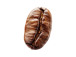 coffee bean isolated