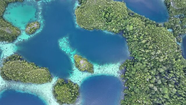 Early morning light illuminates the beautiful limestone islands of Pef in Raja Ampat, Indonesia. This remote, tropical region is known to harbor the world's greatest marine biodiversity.
