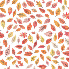pretty autumn leaves pattern on white background