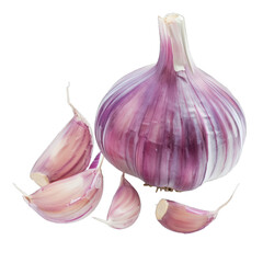 purple garlic bulb and garlic cloves on white background