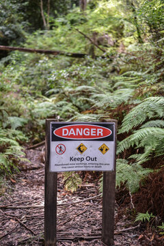 Mount Alum bush walk at Bulahdelah
