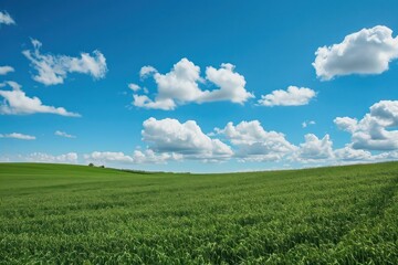 Green field sky landscape outdoors