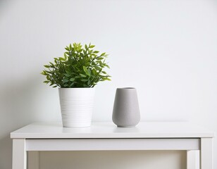 a modern vase and interior plant pot on sleek white furniture against a clean white background, plant in a pot