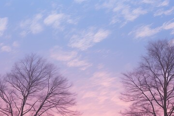 Fototapeta na wymiar Periwinkle Twilight Sky Transformation: Gentle Evening Sky Gradients