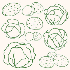 Potato and Cabbage Outline Collection.eps