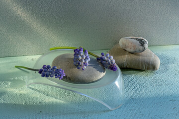 Smooth sea stones and blue muscari. Abstraction. Zen. Simplicity, harmony and balance. Stones and...