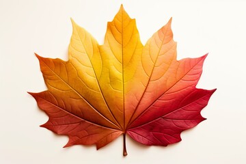Maple Leaf Color Spectrum: Warm Autumn Leaf Gradients
