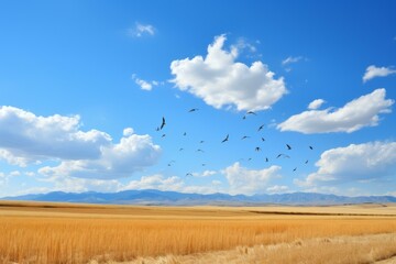 Fototapeta premium b'Birds Flying Over a Wheat Field'