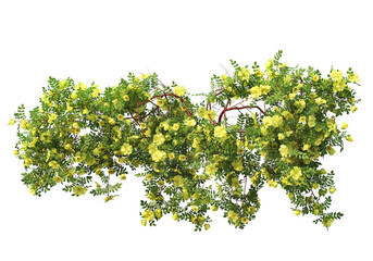 3D render various types of flowers and ivy on transparent background.