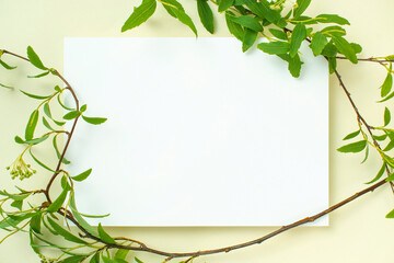 식물잎과 카드 목업