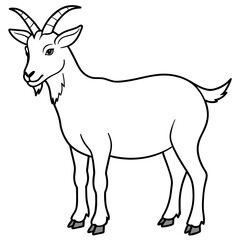 goat illustration