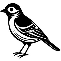 bird on a white background