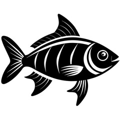 Fototapeta premium fish isolated on white