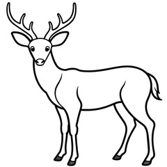 Fototapeta premium deer silhouette vector