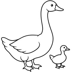 duck isolated on white