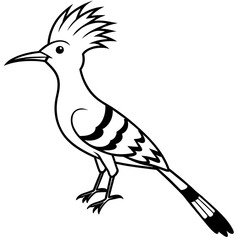 illustration of a bird isolated