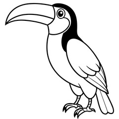 toucan on a white background