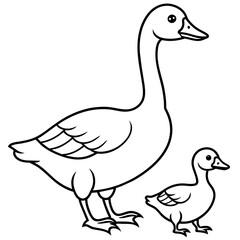 duck isolated on white