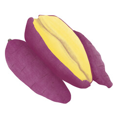 ANNOU-IMO Sweet Potato Of Japan,illustration design.