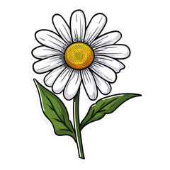 Daisy cartoon sticker | High Quality | Transparent PNG