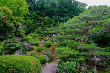 京都の旧家の日本庭園