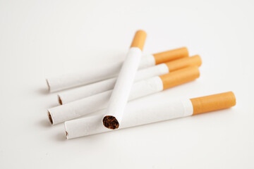 Cigarette, roll tobacco in paper with filter tube, No smoking concept.