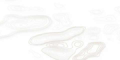 Topographic contour map. Seamless pattern with lines White wave paper curved reliefs abstract background, Abstract topographic contours map background.