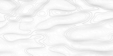 Topographic contour map. Seamless pattern with lines White wave paper curved reliefs abstract background, Abstract topographic contours map background.