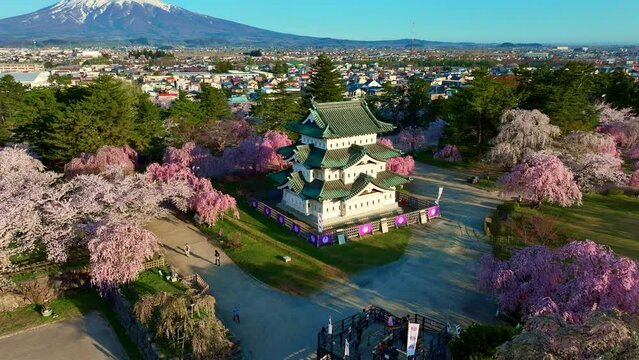 aerial view of Japanese traditional samurai castle in spring in Hirosaki, tourism in Japan, drone establishing shot of sunrise near beautiful historic castle