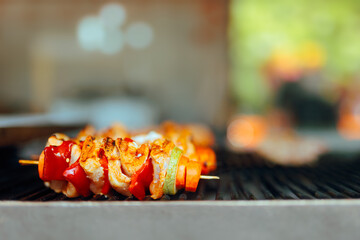 Vegetable Skewers with Chicken Meat Ready for grilling. Delicious barbecue dish prepared for a garden party during summertime.
