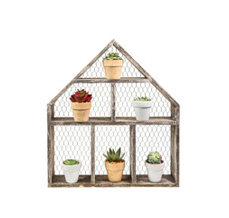 wooden house shelf with Miniature succulent plants isolated on white