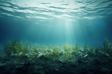 Underwater outdoors nature tranquility