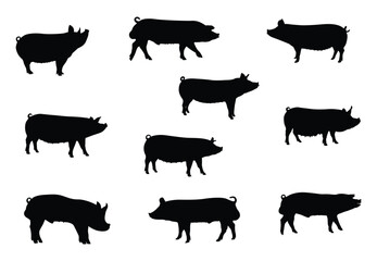 Pig silhouette set, vector illustration of icons. Quality black and white vector silhouette of a pig. Pork outline, shadow shape.