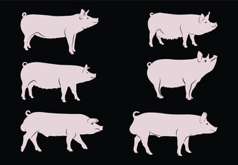 Pig vector illustration set of icons.Quality vector silhouette of a pig.