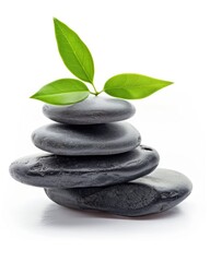 Spa stones with green leaves on white background. Zen concept.