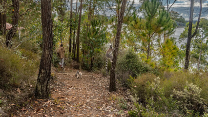 Cute ring-tailed catta lemurs frolic in the forest. Animals endemic to Madagascar climb trees, run along a dirt path. The walking man is visible from the back. Mantasoa. Lemur Island.  Nosy Soa Park