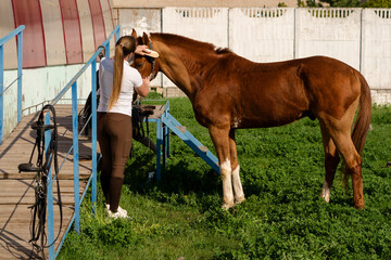 Woman brushing horse at barn entrance