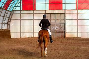 Rider on chestnut horse in riding arena