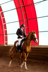 Equestrian training in a red arena