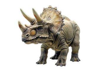 Triceratops Child Isolated
