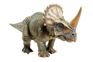 Fototapeta premium Triceratops Child Isolated