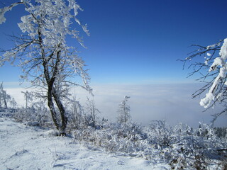 Germany, Hohenblauen, Winter, Snow, Blue Sky,