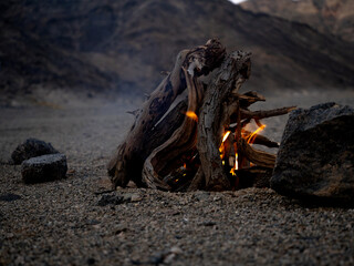 Camping in the desert. Burning bonfire in the desert.