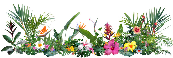Tropical flower beds, vibrant with exotic blooms like hibiscus and bird of paradise, complemented by broad leaves, isolated on transparent background